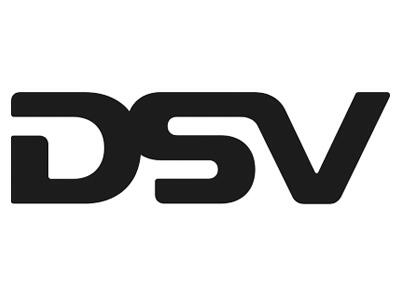 DSV Logo